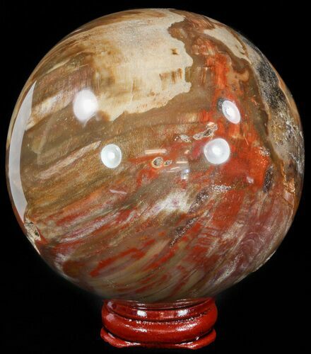 Colorful Petrified Wood Sphere - Cyber Monday Special #49743